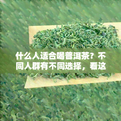 什么人适合喝普洱茶？不同人群有不同选择，看这里！