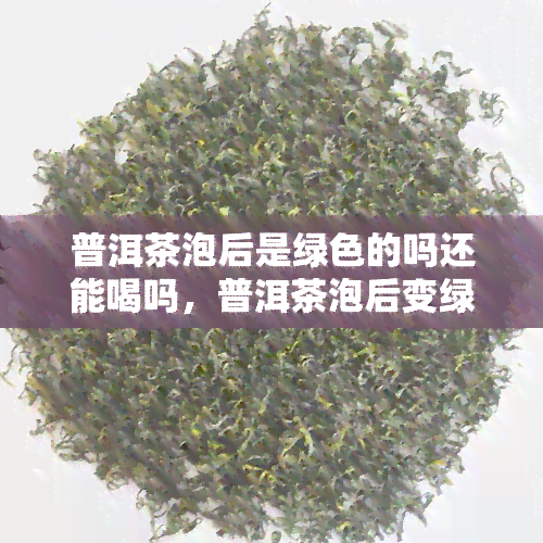 普洱茶泡后是绿色的吗还能喝吗，普洱茶泡后变绿还能饮用吗？