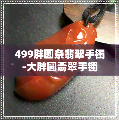 499胖圆条翡翠手镯-大胖圆翡翠手镯