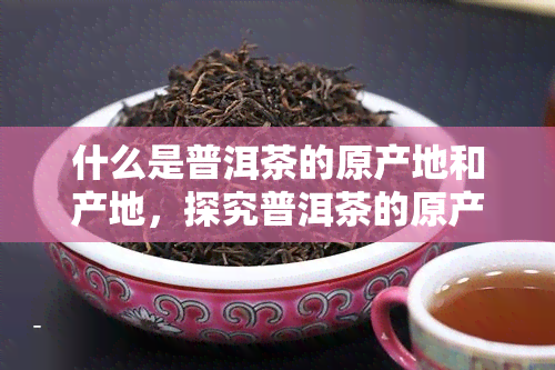 什么是普洱茶的原产地和产地，探究普洱茶的原产地与产地：揭秘其独特风味的秘密