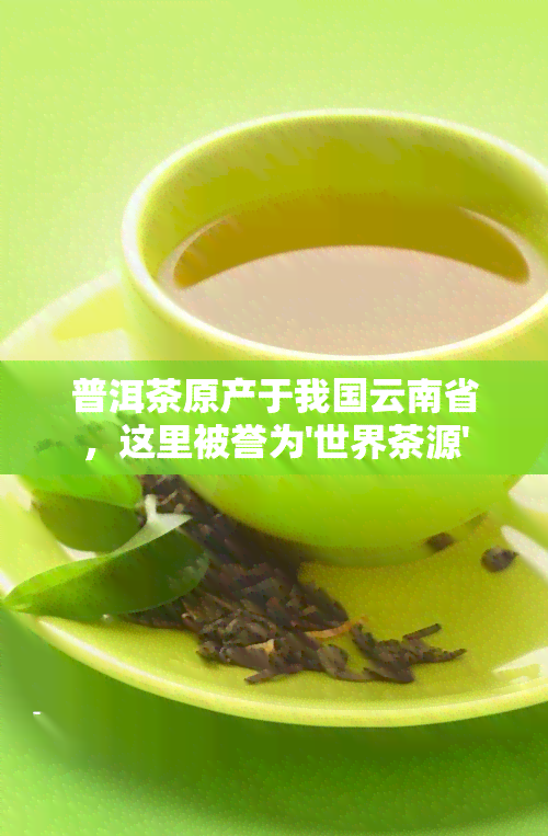 普洱茶原产于我国云南省，这里被誉为'世界茶源'