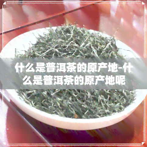 什么是普洱茶的原产地-什么是普洱茶的原产地呢