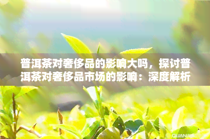 普洱茶对奢侈品的影响大吗，探讨普洱茶对奢侈品市场的影响：深度解析