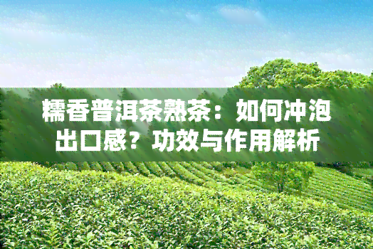 糯香普洱茶熟茶：如何冲泡出口感？功效与作用解析