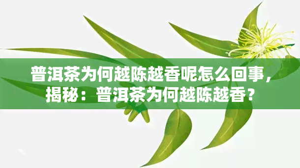 普洱茶为何越陈越香呢怎么回事，揭秘：普洱茶为何越陈越香？