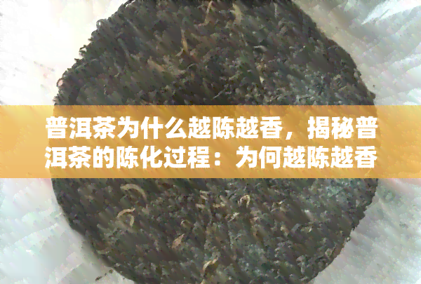 普洱茶为什么越陈越香，揭秘普洱茶的陈化过程：为何越陈越香？