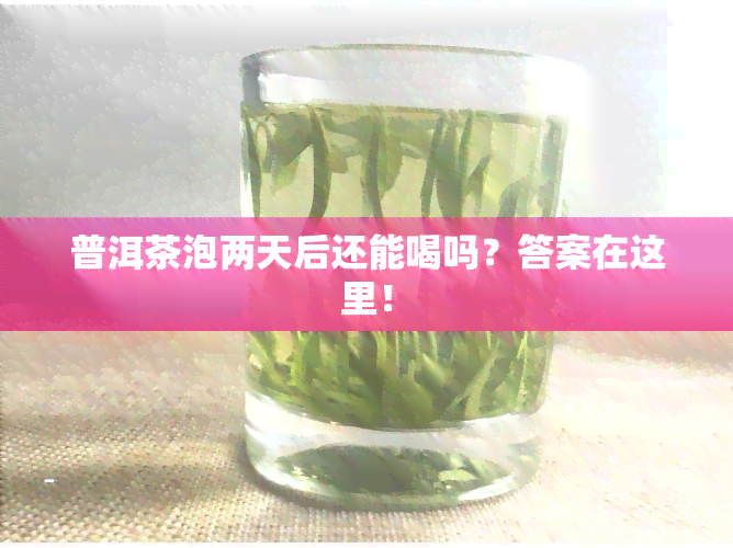 普洱茶泡两天后还能喝吗？答案在这里！