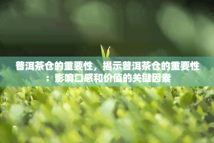 普洱茶仓的重要性，揭示普洱茶仓的重要性：影响口感和价值的关键因素