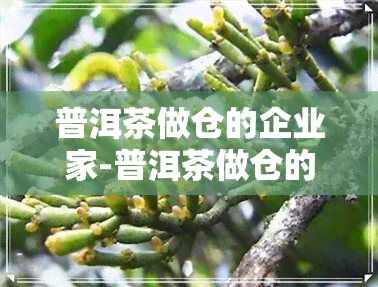 普洱茶做仓的企业家-普洱茶做仓的企业家有哪些