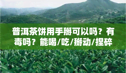 普洱茶饼用手掰可以吗？有吗？能喝/吃/掰动/捏碎/切开吗？附图