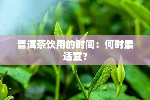 普洱茶饮用的时间：何时最适宜？