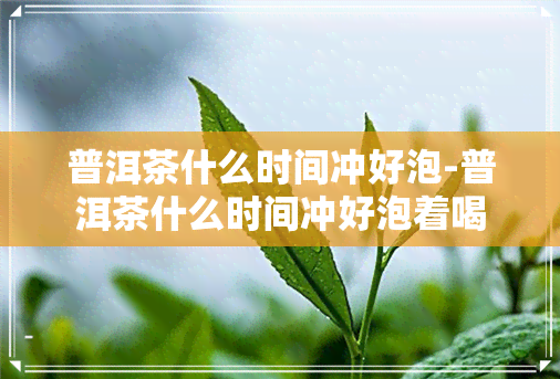 普洱茶什么时间冲好泡-普洱茶什么时间冲好泡着喝