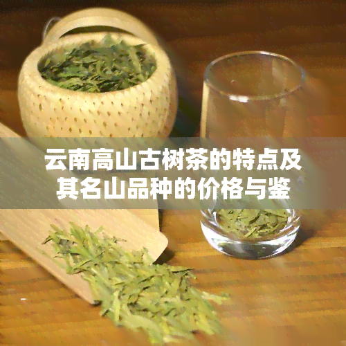 云南高山古树茶的特点及其名山品种的价格与鉴