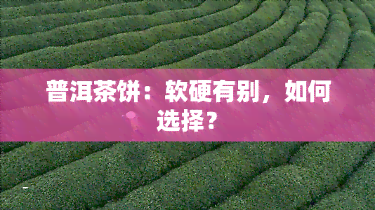 普洱茶饼：软硬有别，如何选择？