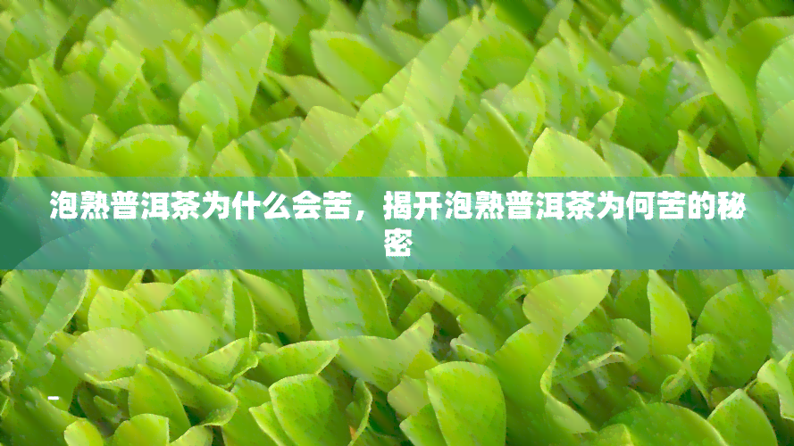 泡熟普洱茶为什么会苦，揭开泡熟普洱茶为何苦的秘密