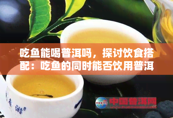 吃能喝普洱吗，探讨饮食搭配：吃的同时能否饮用普洱茶？