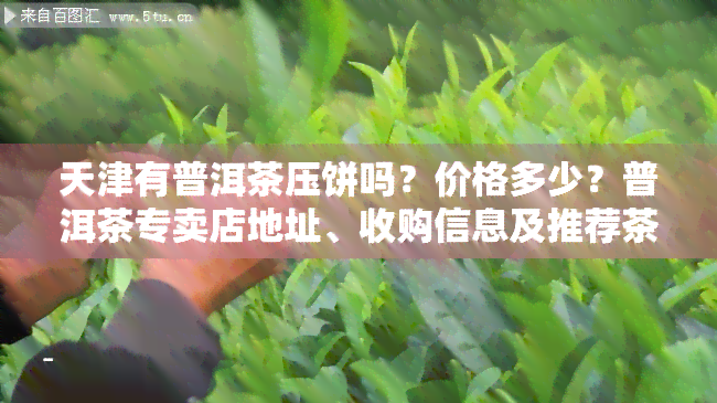 天津有普洱茶压饼吗？价格多少？普洱茶专卖店地址、收购信息及推荐茶叶铺