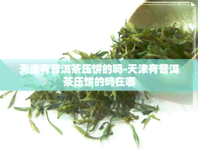 天津有普洱茶压饼的吗-天津有普洱茶压饼的吗在哪