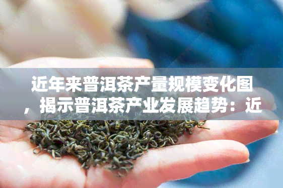 近年来普洱茶产量规模变化图，揭示普洱茶产业发展趋势：近年来产量规模变化全图解读