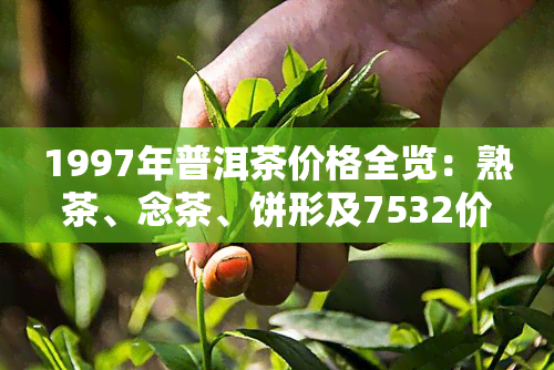 1997年普洱茶价格全览：熟茶、念茶、饼形及7532价格一览