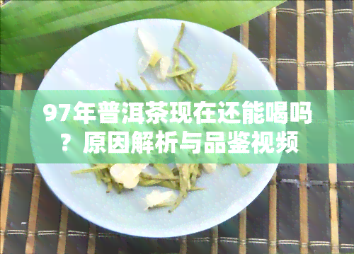 97年普洱茶现在还能喝吗？原因解析与品鉴视频