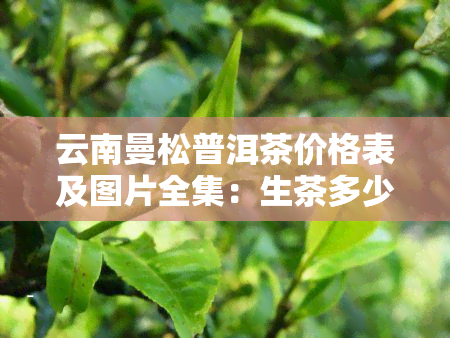 云南曼松普洱茶价格表及图片全集：生茶多少钱一斤？