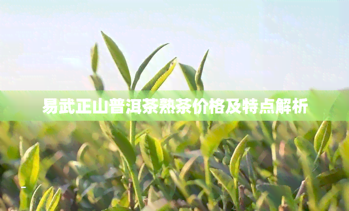 易武正山普洱茶熟茶价格及特点解析