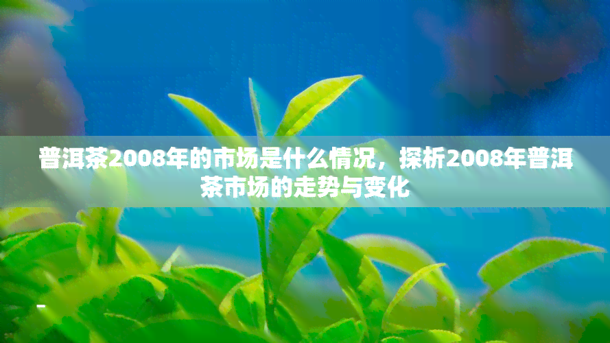 普洱茶2008年的市场是什么情况，探析2008年普洱茶市场的走势与变化