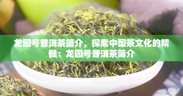 龙园号普洱茶简介，探索中国茶文化的精髓：龙园号普洱茶简介