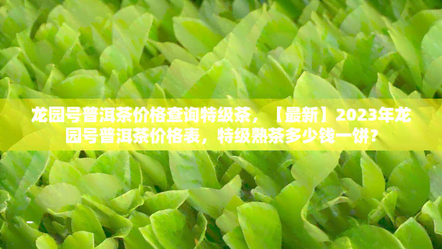 龙园号普洱茶价格查询特级茶，【最新】2023年龙园号普洱茶价格表，特级熟茶多少钱一饼？