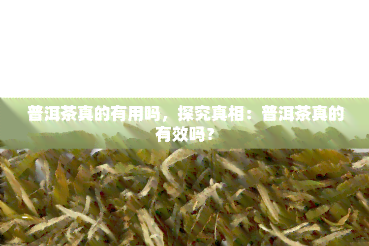 普洱茶真的有用吗，探究真相：普洱茶真的有效吗？