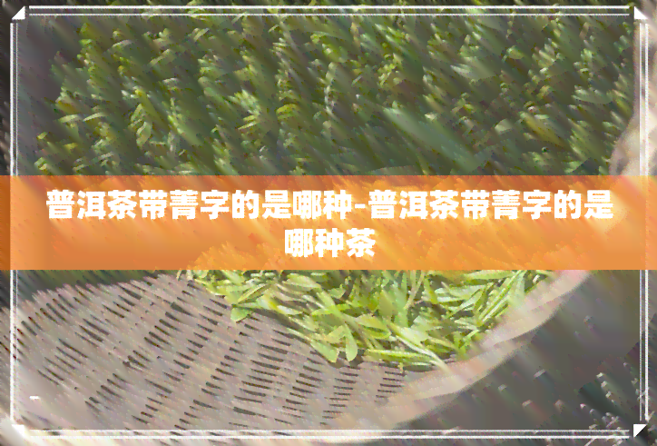 普洱茶带菁字的是哪种-普洱茶带菁字的是哪种茶