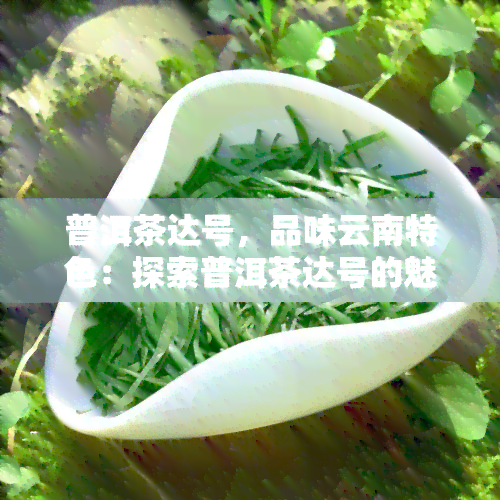 普洱茶达号，品味云南特色：探索普洱茶达号的魅力