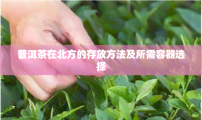 普洱茶在北方的存放方法及所需容器选择