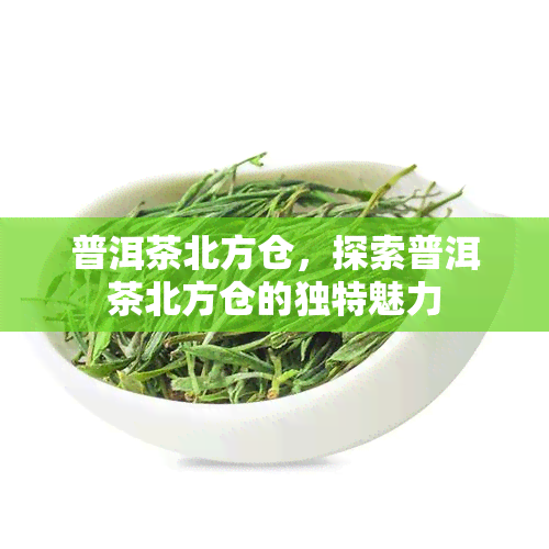 普洱茶北方仓，探索普洱茶北方仓的独特魅力