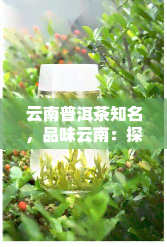 云南普洱茶知名，品味云南：探索普洱茶知名的世界