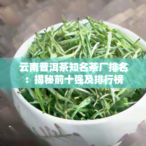 云南普洱茶知名茶厂排名：揭秘前十强及排行榜