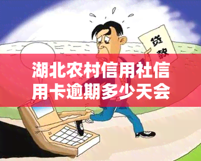 湖北农村信用社信用卡逾期多少天会记入？还款日期计算方法及联系电话