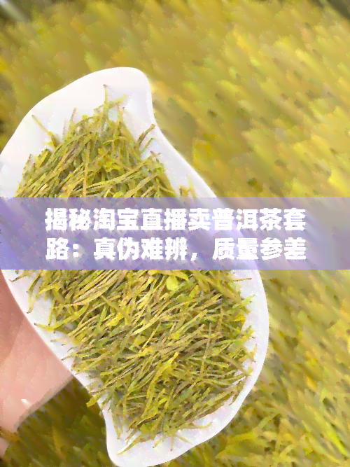 揭秘淘宝直播卖普洱茶套路：真伪难辨，质量参差不齐？