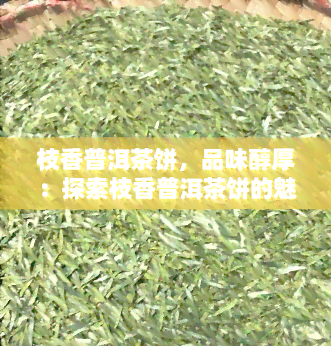 枝香普洱茶饼，品味醇厚：探索枝香普洱茶饼的魅力