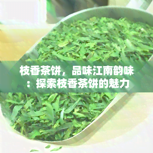 枝香茶饼，品味江南韵味：探索枝香茶饼的魅力