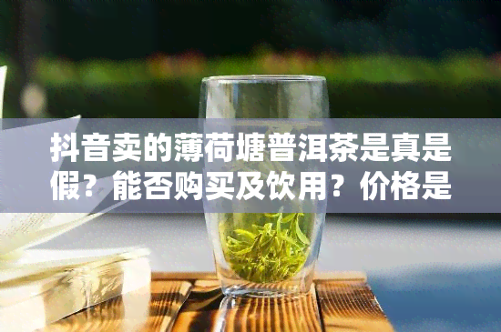 抖音卖的薄荷塘普洱茶是真是假？能否购买及饮用？价格是多少？