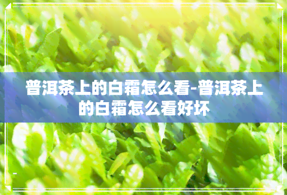 普洱茶上的白霜怎么看-普洱茶上的白霜怎么看好坏