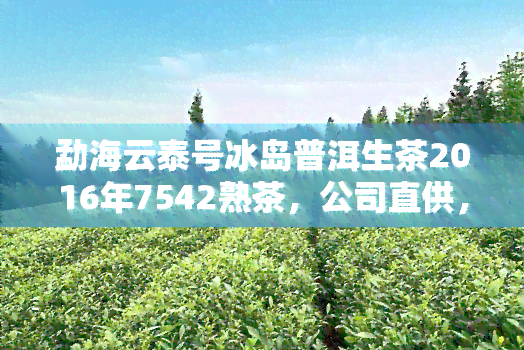 勐海云泰号冰岛普洱生茶2016年7542熟茶，公司直供，原产地保证