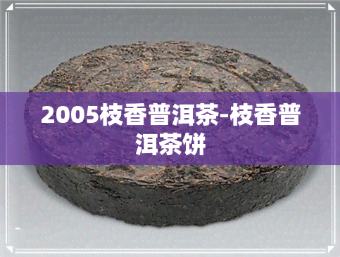 2005枝香普洱茶-枝香普洱茶饼