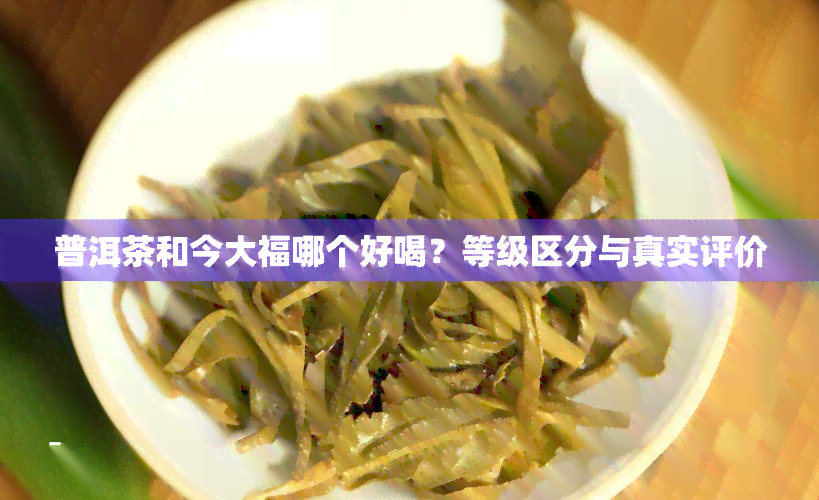 普洱茶和今大福哪个好喝？等级区分与真实评价