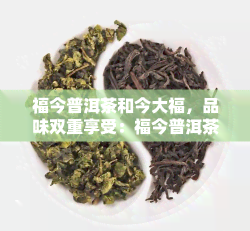 福今普洱茶和今大福，品味双重享受：福今普洱茶与今大福的完美搭配