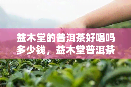 益木堂的普洱茶好喝吗多少钱，益木堂普洱茶口感如何？价格多少？