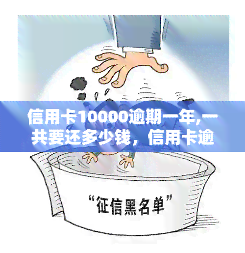 信用卡10000逾期一年,一共要还多少钱，信用卡逾期一年，欠款10000元应还款多少？