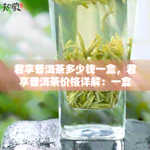 君享普洱茶多少钱一盒，君享普洱茶价格详解：一盒究竟多少钱？